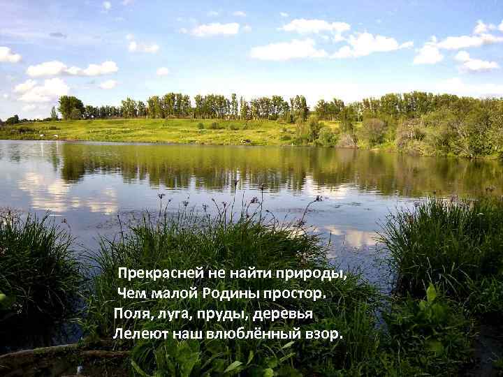 Прекрасней не найти природы, Чем малой Родины простор. Поля, луга, пруды, деревья Лелеют наш