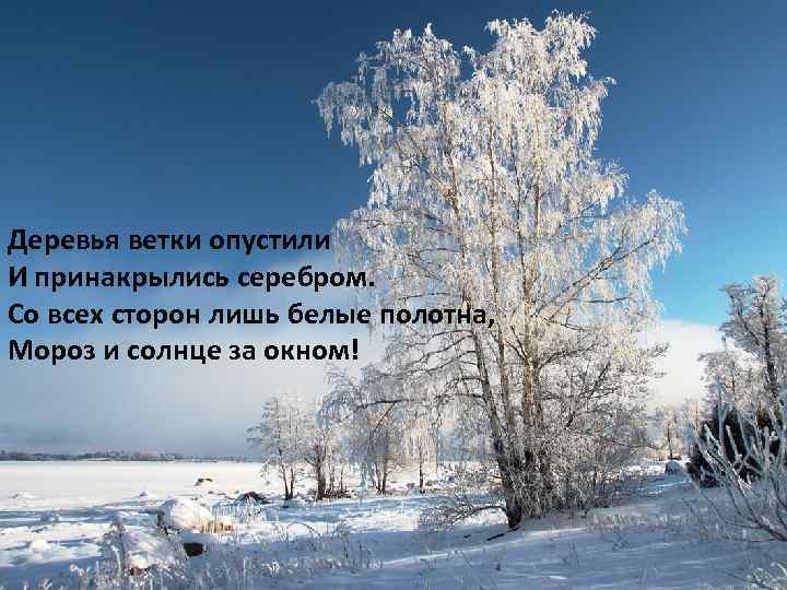 Деревья ветки опустили И принакрылись серебром. Со всех сторон лишь белые полотна, Мороз и