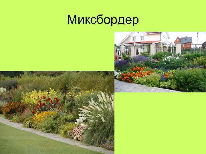 Миксбордер 