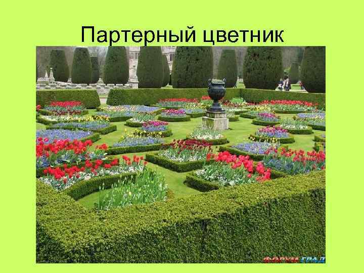 Партерный цветник 