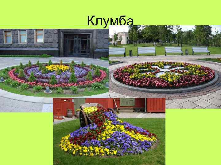 Клумба 