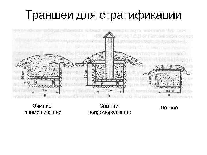 Траншеи для стратификации Зимние промерзающие Зимние непромерзающие Летние 