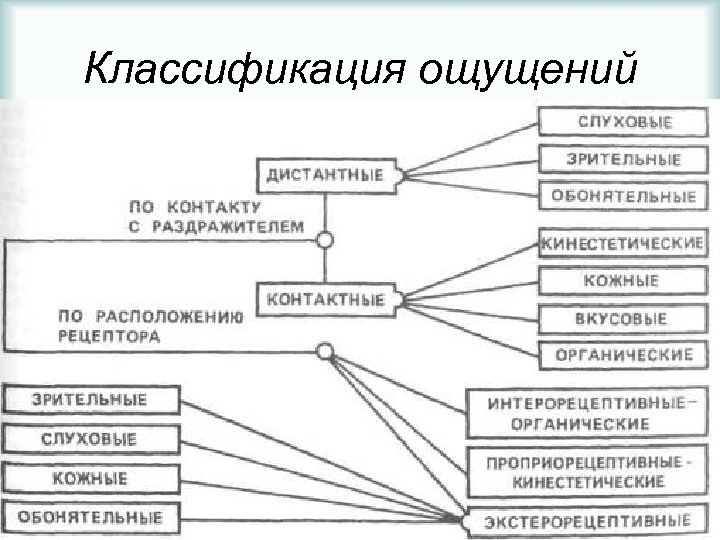 Классификация ощущений 