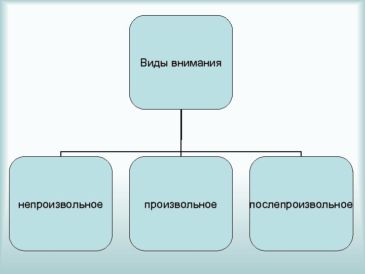 Презентация виды внимания