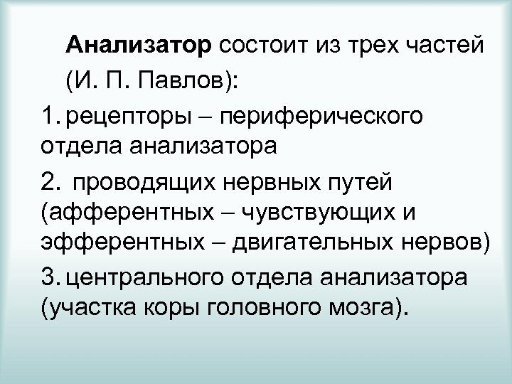 Из каких частей состоит анализатор