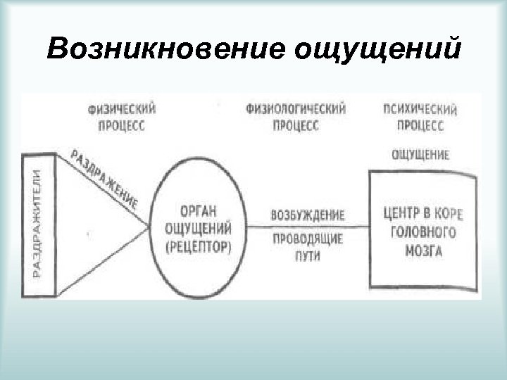 Возникало чувство. Схема возникновения ощущений в психологии. Возникновение ощущений схема. Этапы возникновения ощущения. Процесс возникновения ощущений.