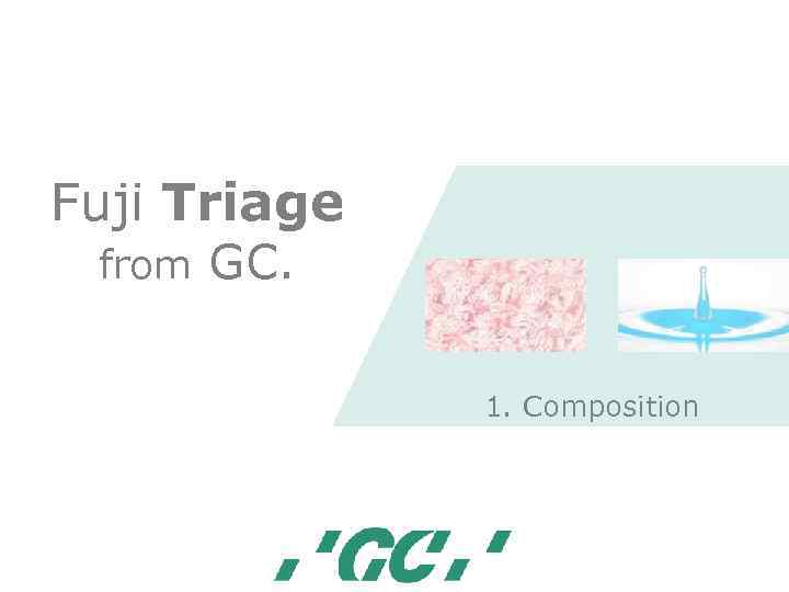 Fuji Triage from GC. 1. Composition 