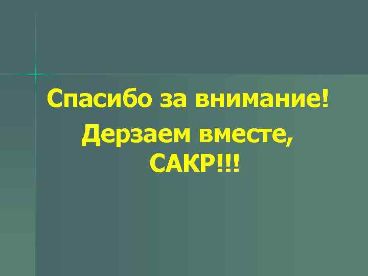 Спасибо за внимание! Дерзаем вместе, САКР!!! 