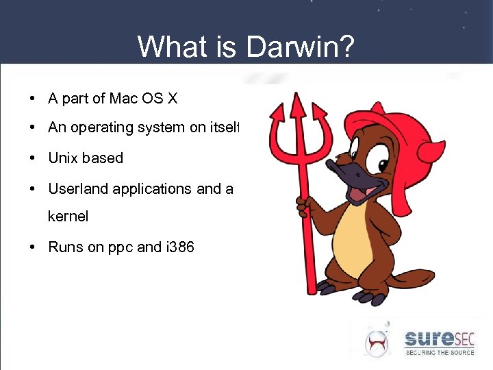 What is Darwin? • A part of Mac OS X • An operating system