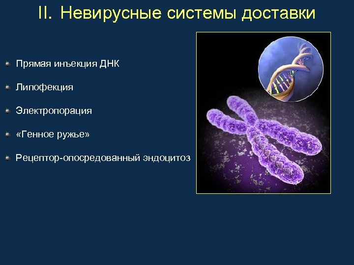 II. Невирусные системы доставки Прямая инъекция ДНК Липофекция Электропорация «Генное ружье» Рецептор-опосредованный эндоцитоз 