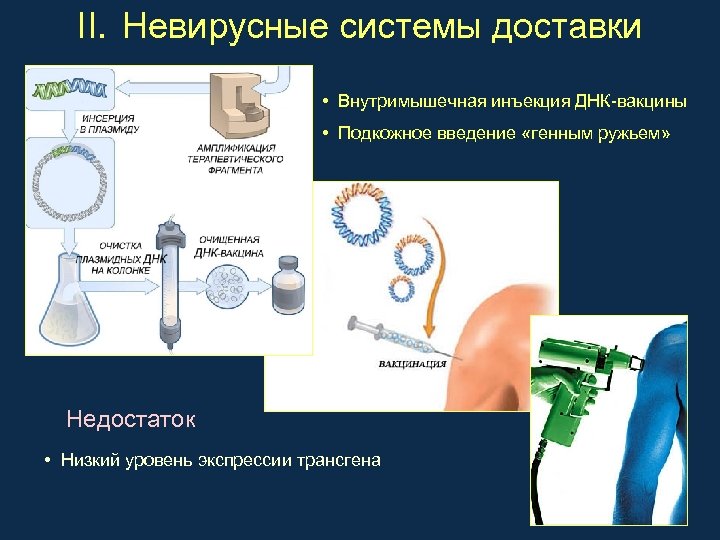 II. Невирусные системы доставки • Внутримышечная инъекция ДНК-вакцины • Подкожное введение «генным ружьем» Недостаток