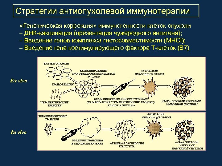 Стратегии антиопухолевой иммунотерапии «Генетическая коррекция» иммуногенности клеток опухоли – ДНК-вакцинация (презентация чужеродного антигена); –