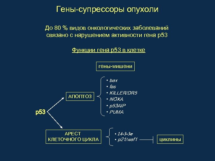 Гены-супрессоры опухоли До 80 % видов онкологических заболеваний связано с нарушением активности гена р53