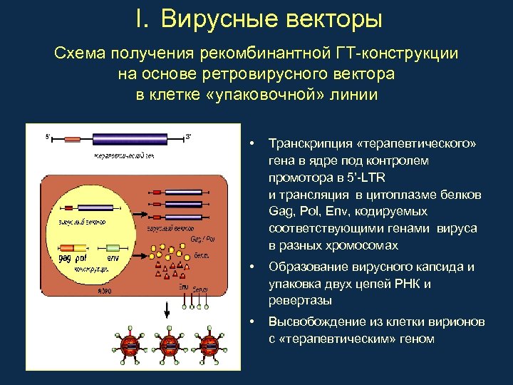 I. Вирусные векторы Схема получения рекомбинантной ГТ-конструкции на основе ретровирусного вектора в клетке «упаковочной»