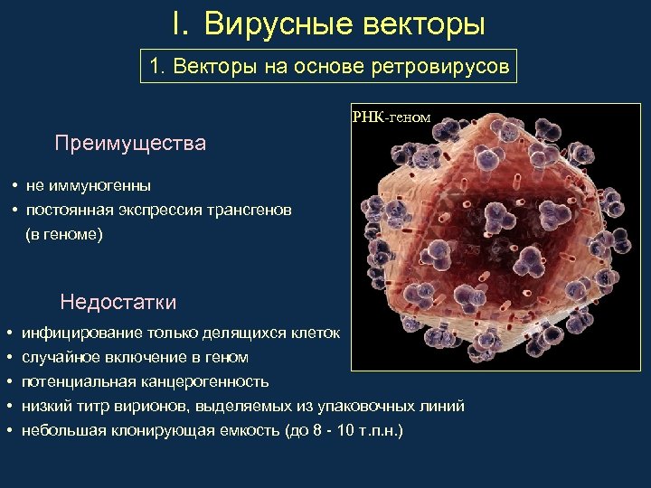 I. Вирусные векторы 1. Векторы на основе ретровирусов РНК-геном Преимущества • не иммуногенны •