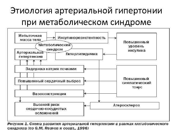 Этиология артериальной гипертонии при метаболическом синдроме 