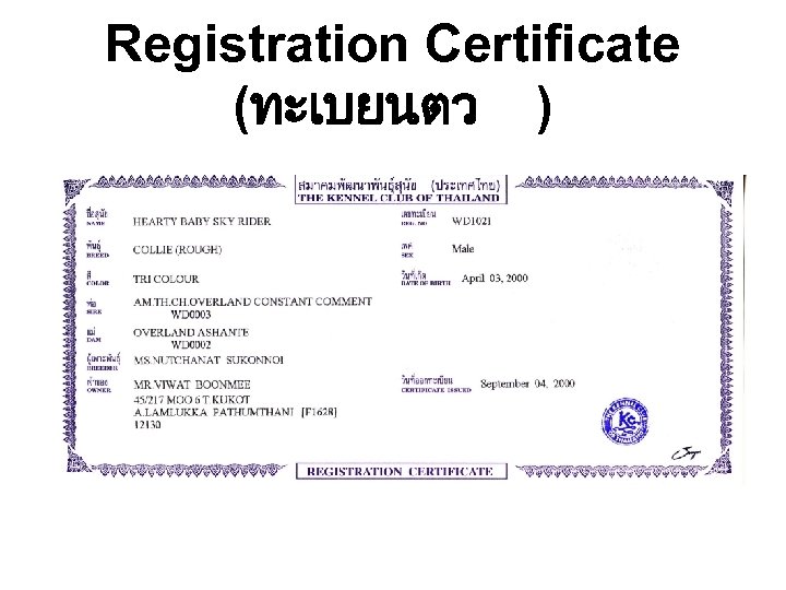 Registration Certificate (ทะเบยนตว ) 