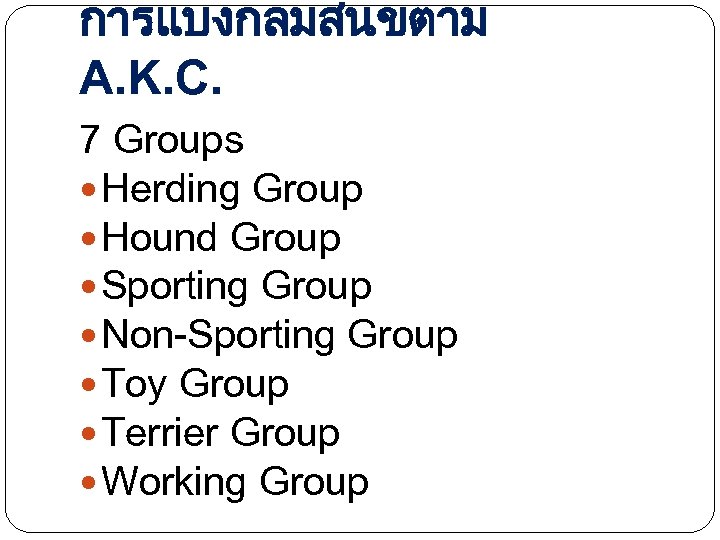 การแบงกลมสนขตาม A. K. C. 7 Groups Herding Group Hound Group Sporting Group Non-Sporting Group