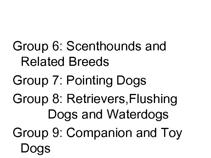Group 6: Scenthounds and Related Breeds Group 7: Pointing Dogs Group 8: Retrievers, Flushing
