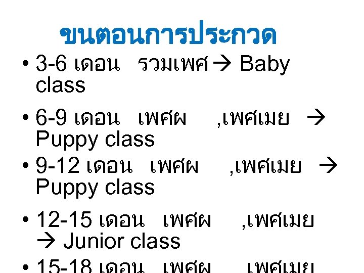 ขนตอนการประกวด • 3 -6 เดอน รวมเพศ Baby class • 6 -9 เดอน เพศผ ,