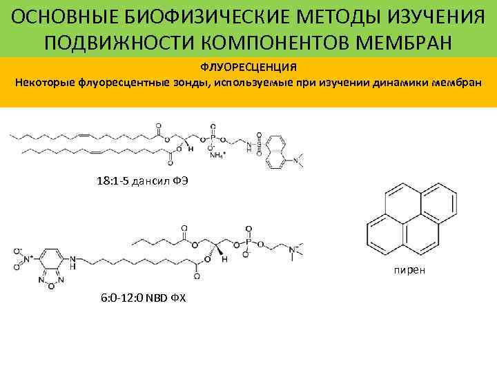 ОСНОВНЫЕ БИОФИЗИЧЕСКИЕ МЕТОДЫ ИЗУЧЕНИЯ ПОДВИЖНОСТИ КОМПОНЕНТОВ МЕМБРАН ФЛУОРЕСЦЕНЦИЯ Некоторые флуоресцентные зонды, используемые при изучении