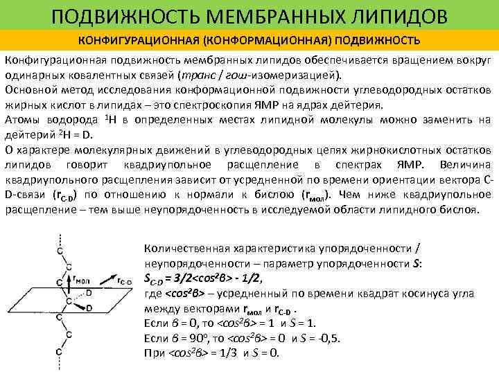 Подвижность это. Подвижность мембран. . Вращательная подвижность фосфолипидов. Конформационная подвижность. Подвижность мембранных липидов.