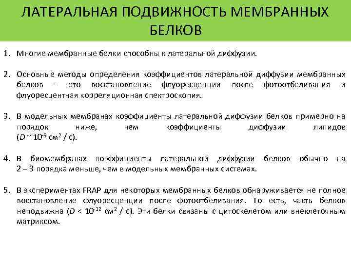 ЛАТЕРАЛЬНАЯ ПОДВИЖНОСТЬ МЕМБРАННЫХ БЕЛКОВ 1. Многие мембранные белки способны к латеральной диффузии. 2. Основные