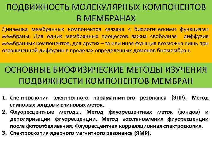 ПОДВИЖНОСТЬ МОЛЕКУЛЯРНЫХ КОМПОНЕНТОВ В МЕМБРАНАХ Динамика мембранных компонентов связана с биологическими функциями мембраны. Для