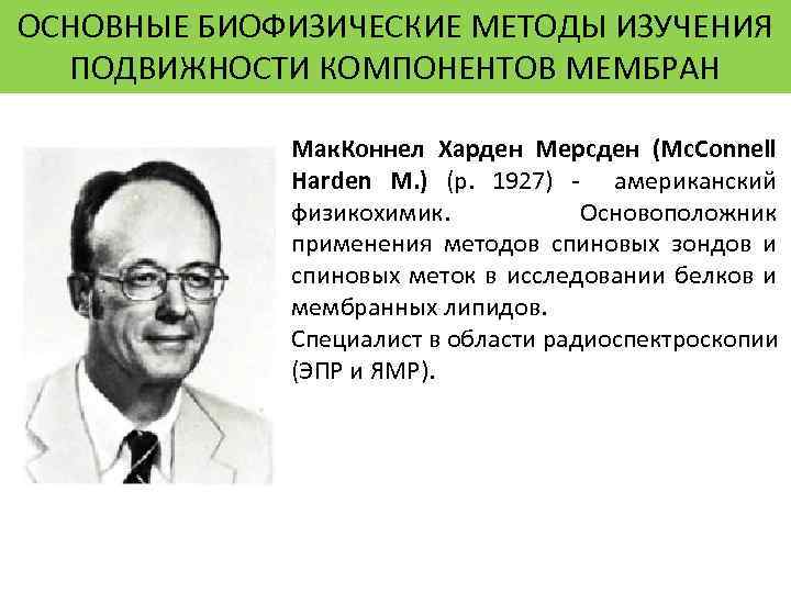 ОСНОВНЫЕ БИОФИЗИЧЕСКИЕ МЕТОДЫ ИЗУЧЕНИЯ ПОДВИЖНОСТИ КОМПОНЕНТОВ МЕМБРАН Мак. Коннел Харден Мерсден (Mc. Connell Harden