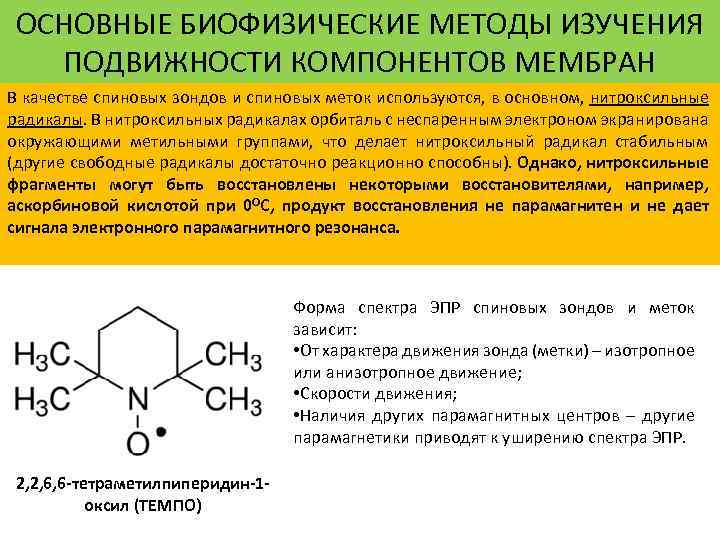 ОСНОВНЫЕ БИОФИЗИЧЕСКИЕ МЕТОДЫ ИЗУЧЕНИЯ ПОДВИЖНОСТИ КОМПОНЕНТОВ МЕМБРАН В качестве спиновых зондов и спиновых меток