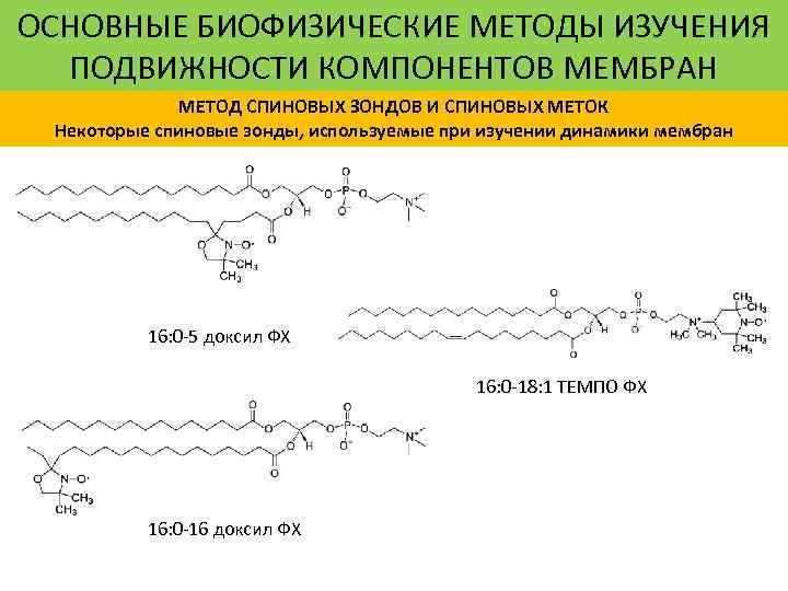 ОСНОВНЫЕ БИОФИЗИЧЕСКИЕ МЕТОДЫ ИЗУЧЕНИЯ ПОДВИЖНОСТИ КОМПОНЕНТОВ МЕМБРАН МЕТОД СПИНОВЫХ ЗОНДОВ И СПИНОВЫХ МЕТОК Некоторые