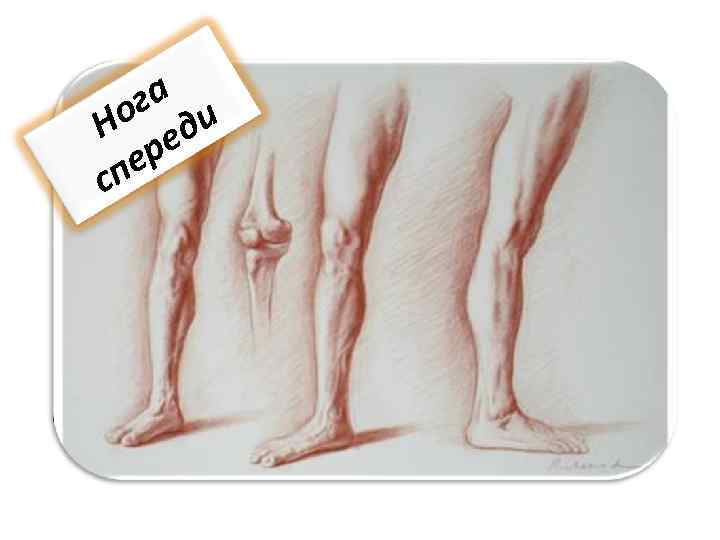 га и Но ед ер сп 