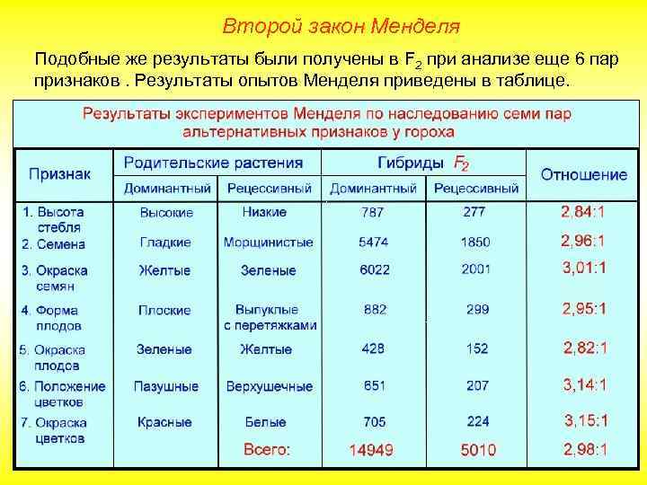 Второй закон Менделя Подобные же результаты были получены в F 2 при анализе еще