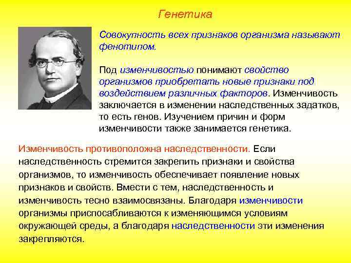Генетика Совокупность всех признаков организма называют фенотипом. Под изменчивостью понимают свойство организмов приобретать новые