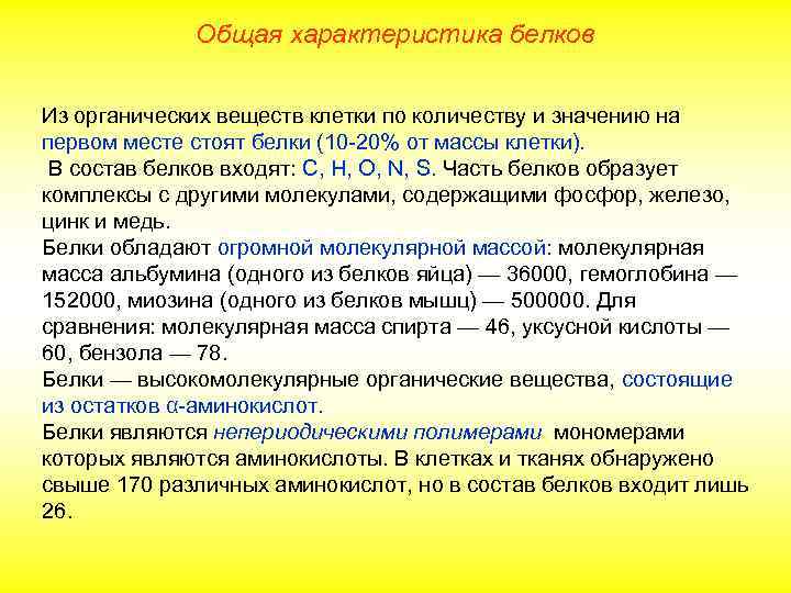 Общая характеристика белков Из органических веществ клетки по количеству и значению на первом месте