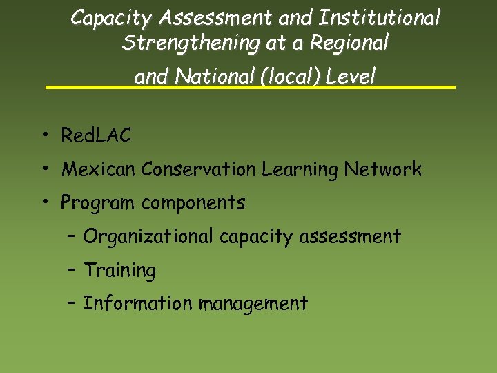 Capacity Assessment and Institutional Strengthening at a Regional and National (local) Level • Red.