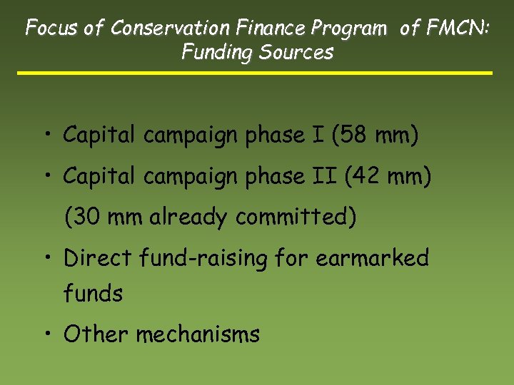 Focus of Conservation Finance Program of FMCN: Funding Sources • Capital campaign phase I