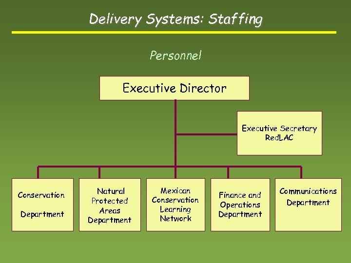 Delivery Systems: Staffing Personnel Executive Director Executive Secretary Red. LAC Conservation Department Natural Protected