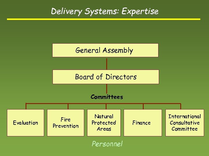 Delivery Systems: Expertise General Assembly Board of Directors Committees Evaluation Fire Prevention Natural Protected