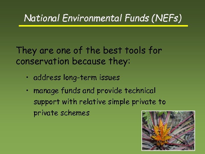 National Environmental Funds (NEFs) They are one of the best tools for conservation because