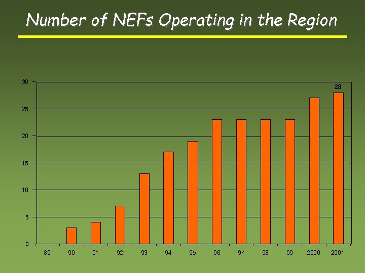 Number of NEFs Operating in the Region 30 28 25 20 15 10 5
