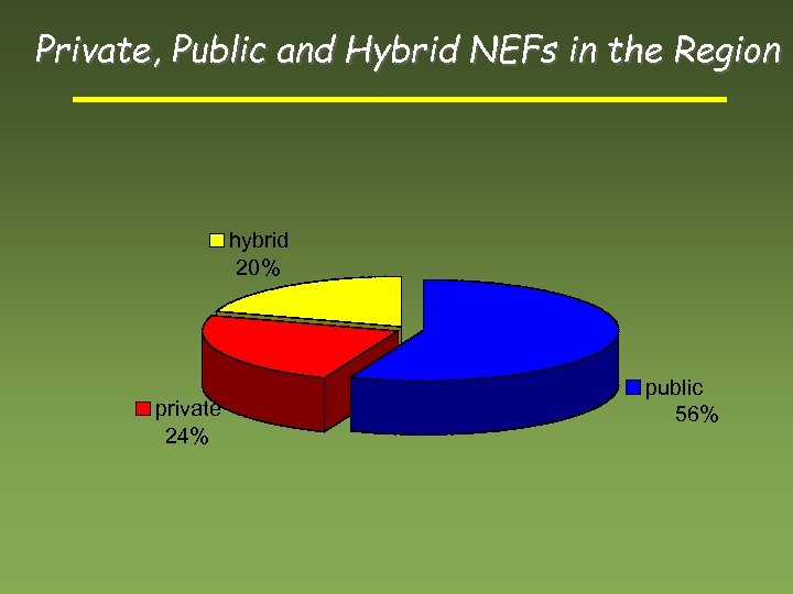 Private, Public and Hybrid NEFs in the Region hybrid 20% private 24% public 56%