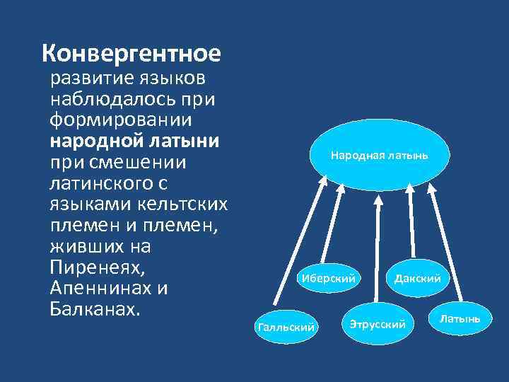 Конвергентное развитие языков наблюдалось при формировании народной латыни при смешении латинского с языками кельтских