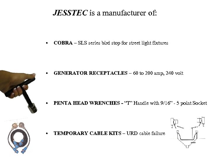 JESSTEC is a manufacturer of: • COBRA – SLS series bird stop for street