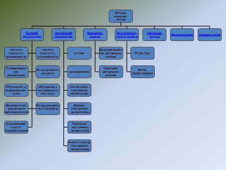 Методы изучения клетки Световой микроскопии Электронной микроскопии Фракционирования Рентгеноструктурного анализа Клеточных культур светлого поля