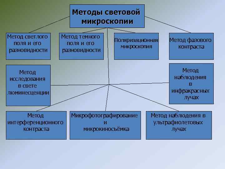 Методы световой микроскопии Метод светлого поля и его разновидности Метод темного поля и его