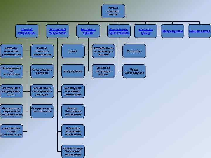 Методы изучения клетки Световой микроскопии Электронной микроскопии Фракционирования Рентгеноструктурного анализа Клеточных культур светлого поля