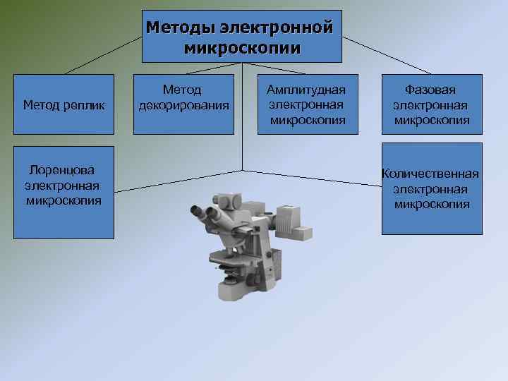 Методы диагностики микроскопии