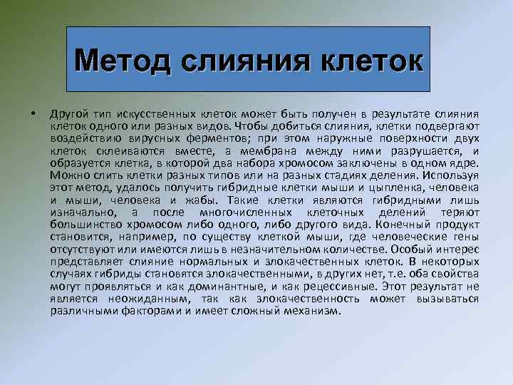 Метод слияния клеток • Другой тип искусственных клеток может быть получен в результате слияния