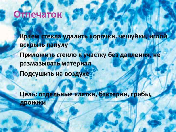 Отпечаток Краем стекла удалить корочки, чешуйки, иглой вскрыть папулу Приложить стекло к участку без